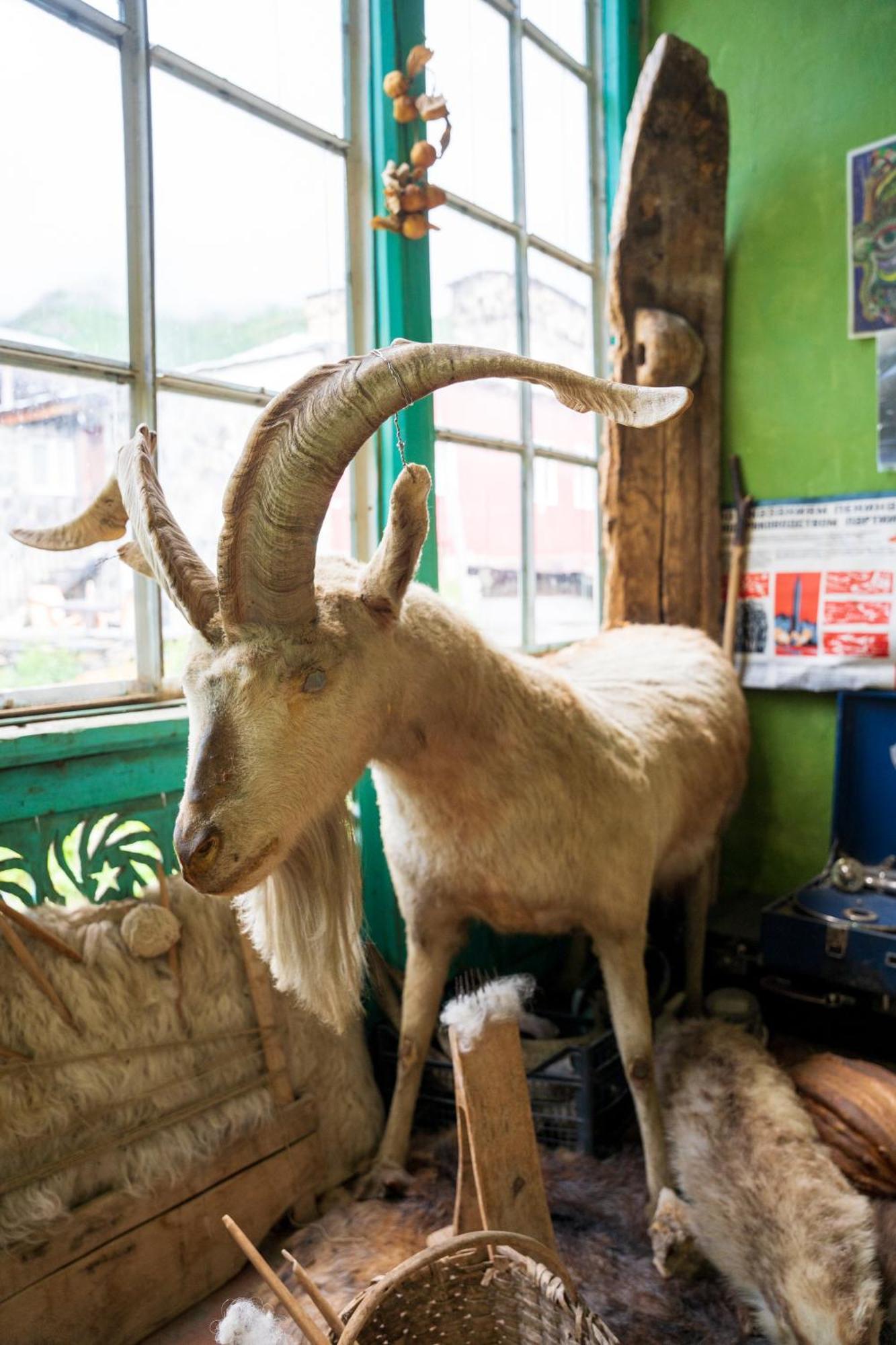 Guesthouse Svani Ushguli Dış mekan fotoğraf