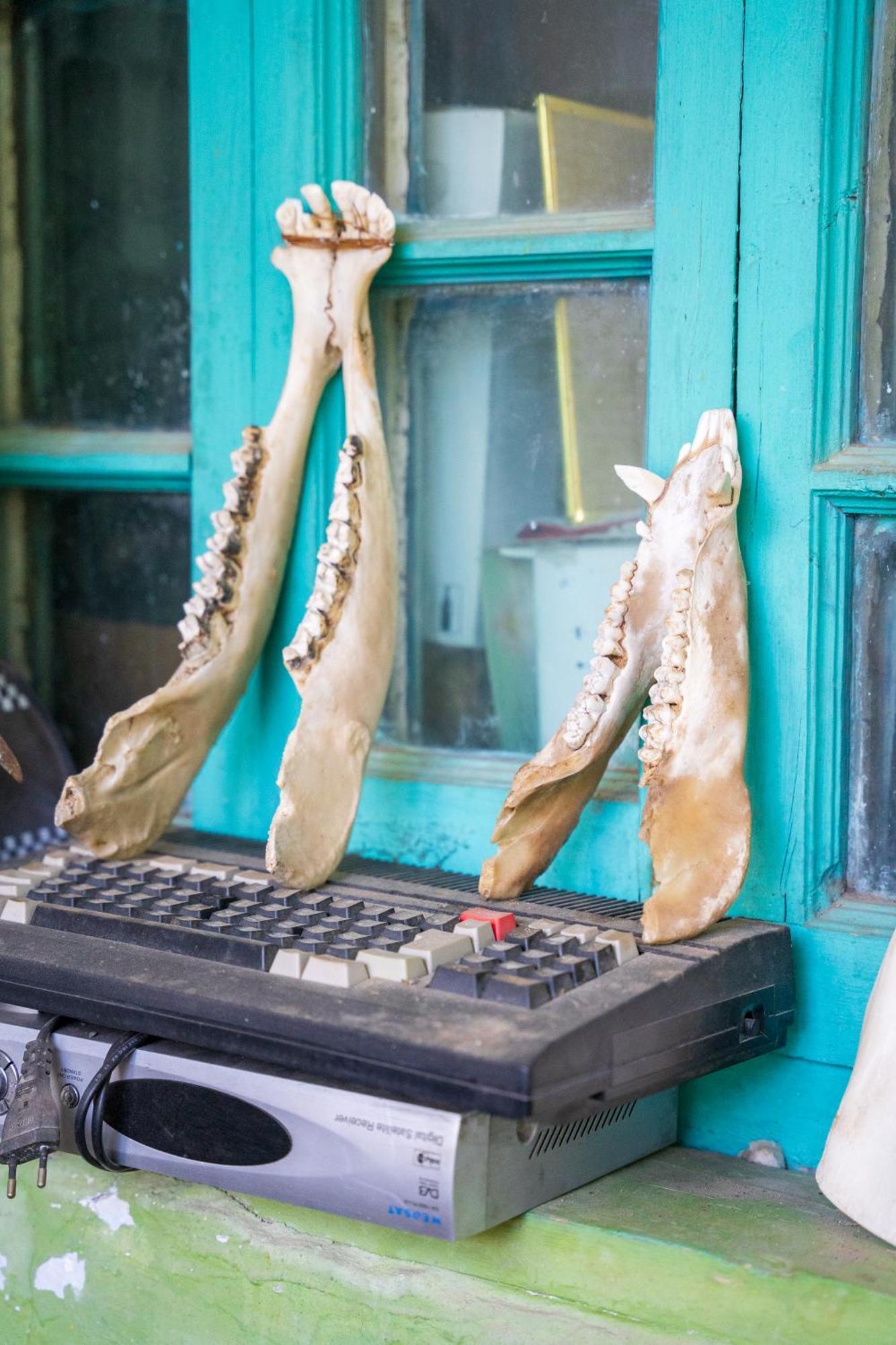 Guesthouse Svani Ushguli Dış mekan fotoğraf