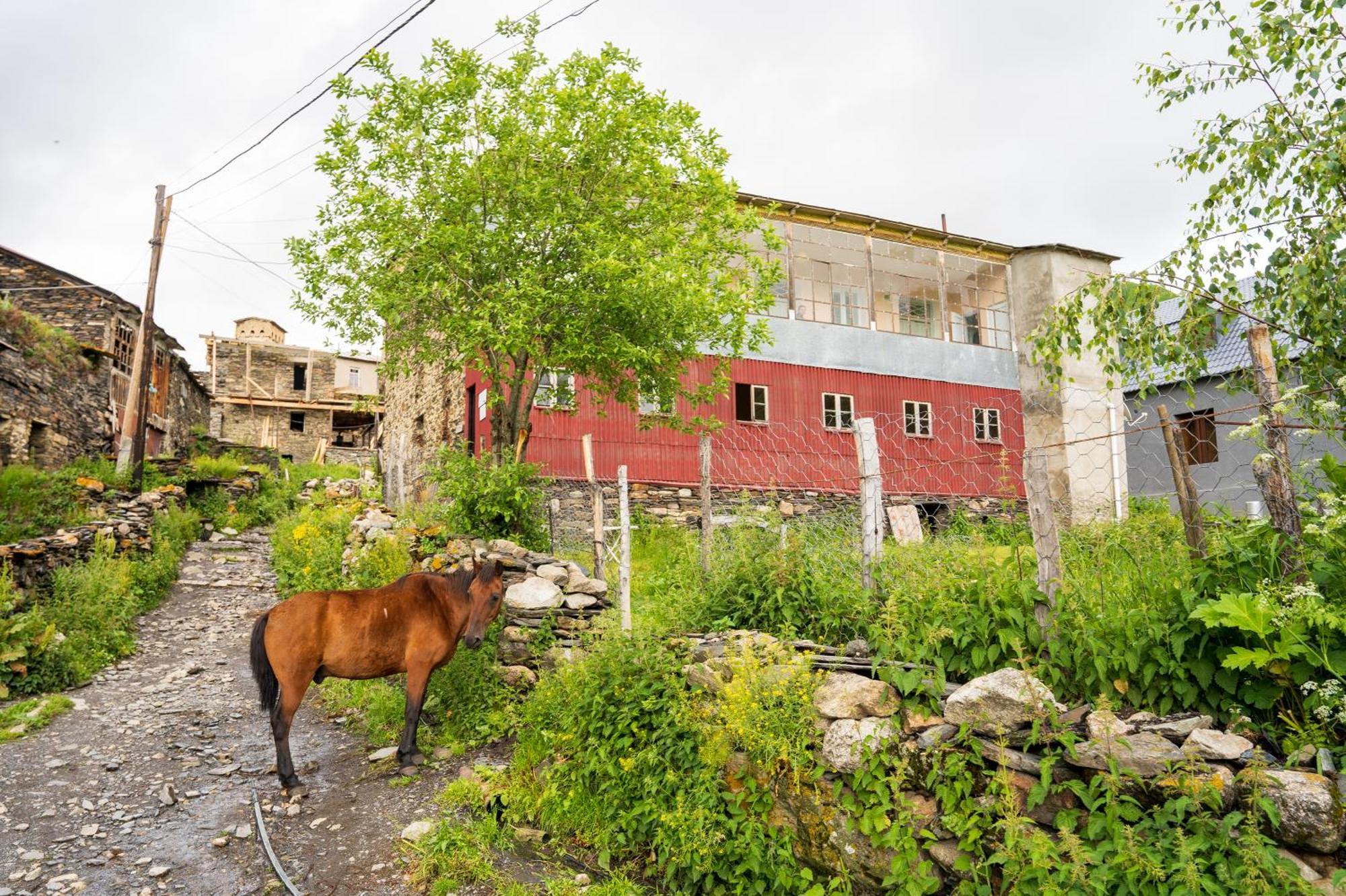 Guesthouse Svani Ushguli Dış mekan fotoğraf
